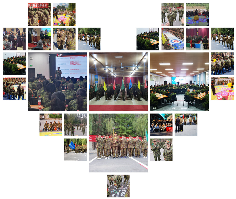 山東一諾生物,成長與發(fā)展的關鍵因素